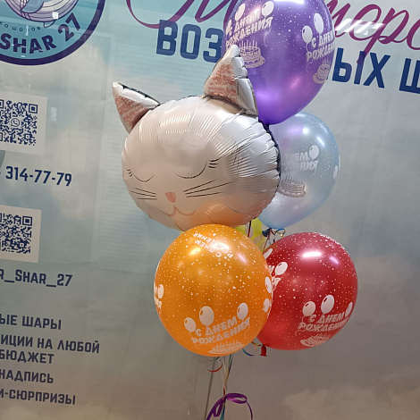 Набор с котом ( двухсторонний черный\белый кот) 