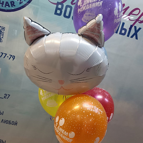 Набор с котом ( двухсторонний черный\белый кот) 