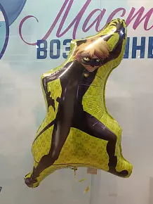 Супер кот