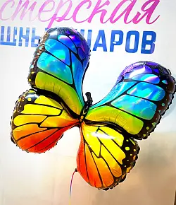 Бабочка (галография)