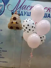 набор с капибарой