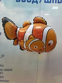 Рыба-клоун 