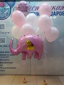 Набор на выписку №2025