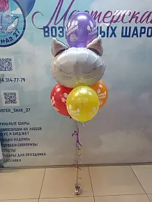 Набор с котом ( двухсторонний черный\белый кот) 