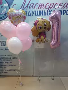 Набор Скай на годик